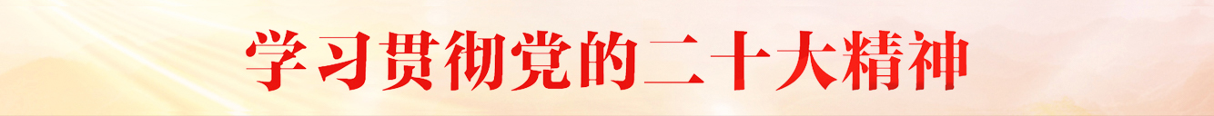 二十大(1).jpg